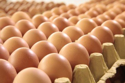 安顺鸡蛋检测价格,鸡蛋检测机构,鸡蛋检测项目,鸡蛋常规检测